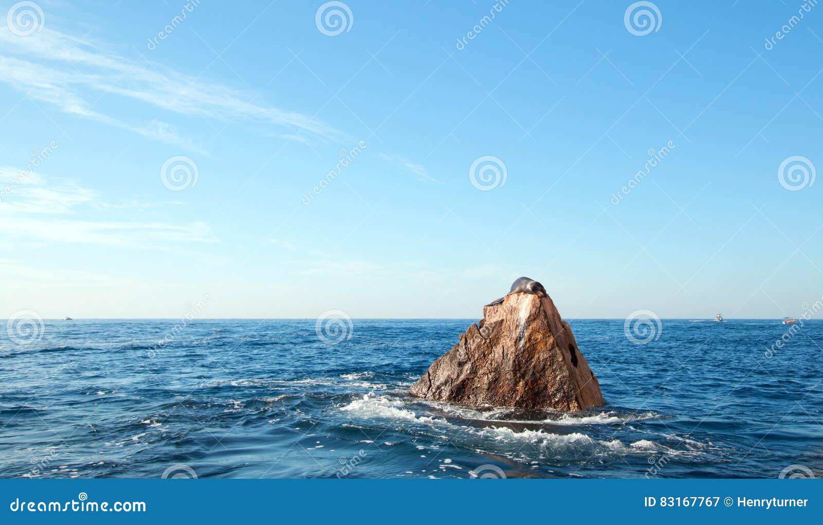 california sea lion resting on Ã¢â¬Åthe pointÃ¢â¬Â of lands endÃ¢â¬Â of los arcos in cabo san lucas in baja mexico